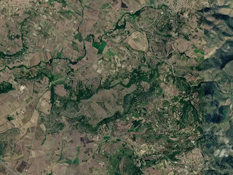 Immagine 12 di Terreno agricolo in vendita  in Località Pranu Mannu a Collinas
