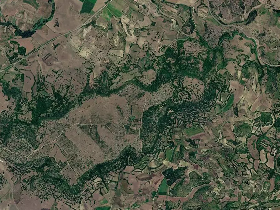 Immagine 13 di Terreno agricolo in vendita  in Località Pranu Mannu a Collinas