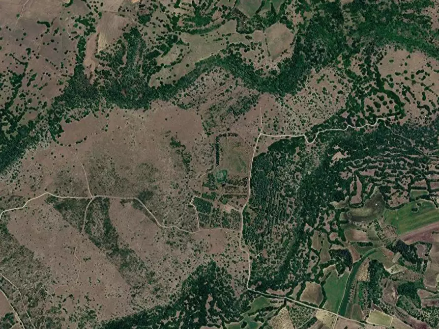 Immagine 14 di Terreno agricolo in vendita  in Località Pranu Mannu a Collinas