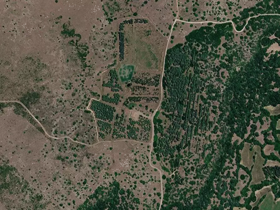 Immagine 15 di Terreno agricolo in vendita  in Località Pranu Mannu a Collinas