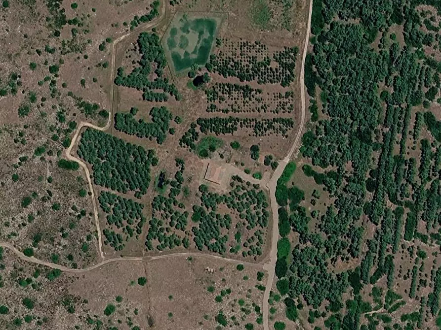 Immagine 16 di Terreno agricolo in vendita  in Località Pranu Mannu a Collinas