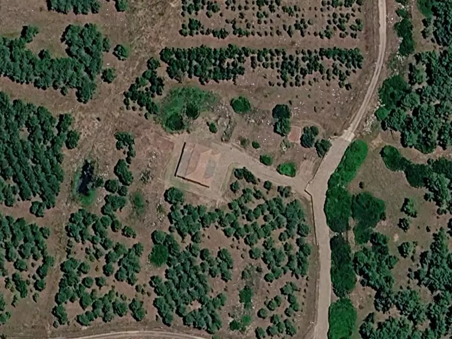 Immagine 17 di Terreno agricolo in vendita  in Località Pranu Mannu a Collinas