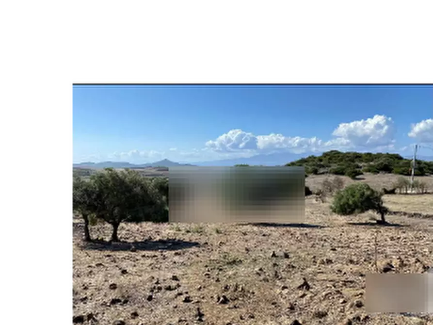 Immagine 3 di Capannone industriale in vendita  in Località Roia Sa Murta a Collinas