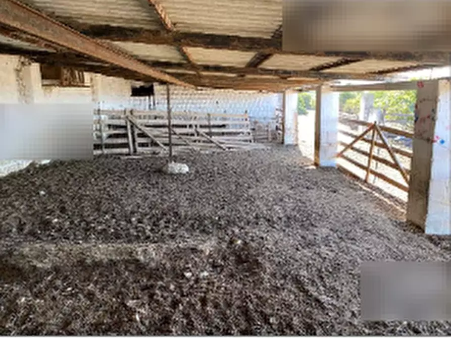 Immagine 6 di Capannone industriale in vendita  in Località Roia Sa Murta a Collinas