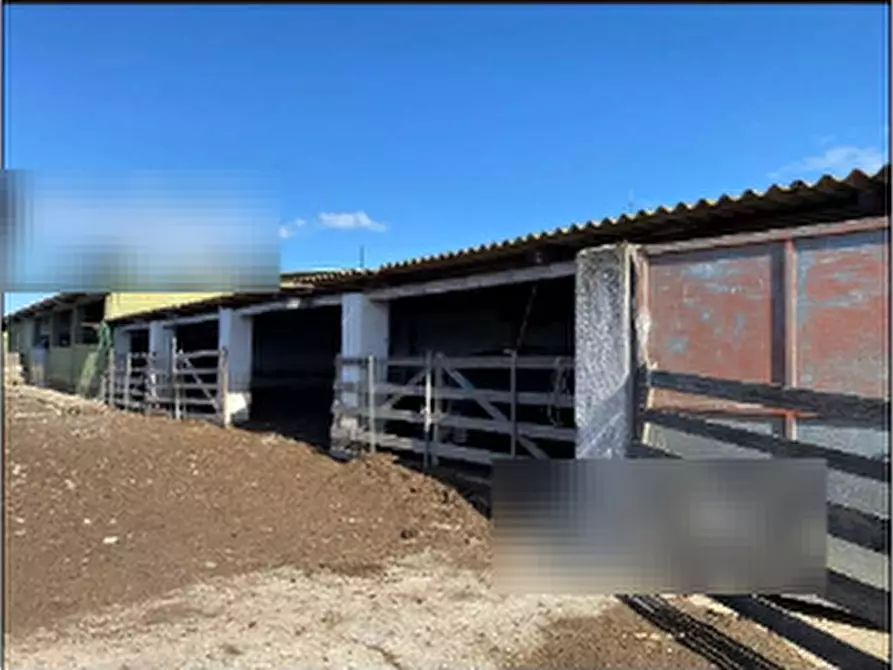 Immagine 7 di Capannone industriale in vendita  in Località Roia Sa Murta a Collinas