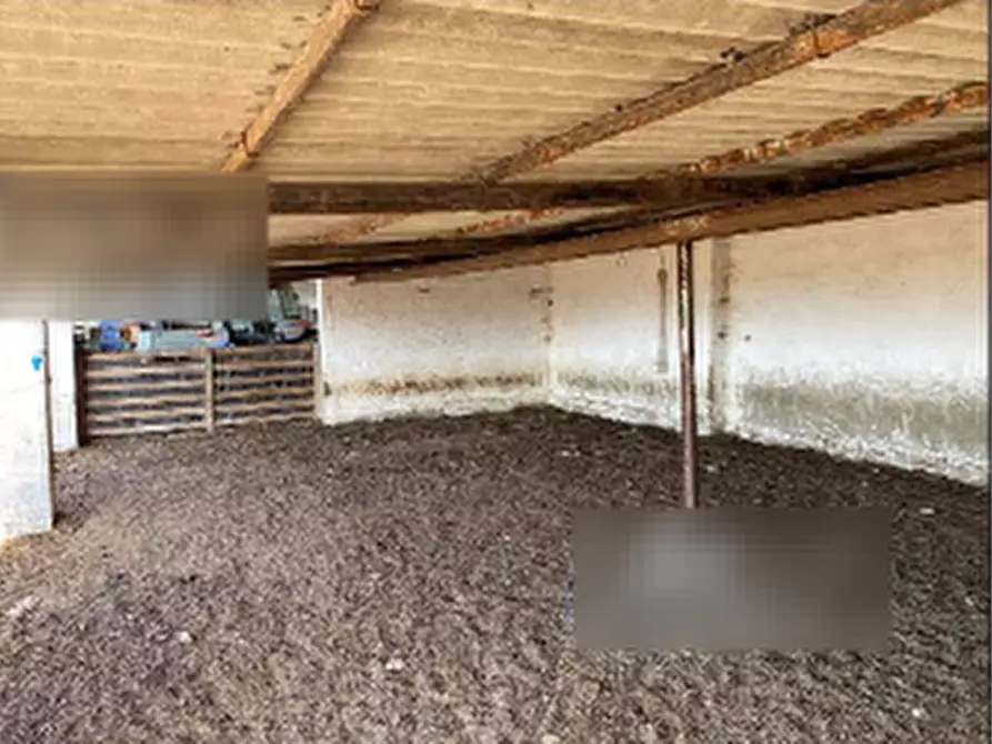 Immagine 8 di Capannone industriale in vendita  in Località Roia Sa Murta a Collinas