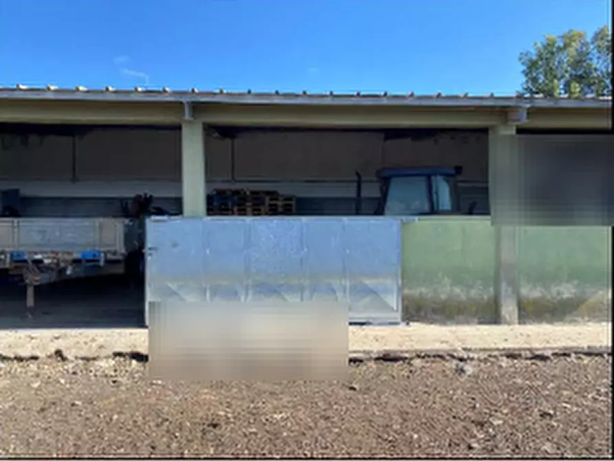 Immagine 9 di Capannone industriale in vendita  in Località Roia Sa Murta a Collinas