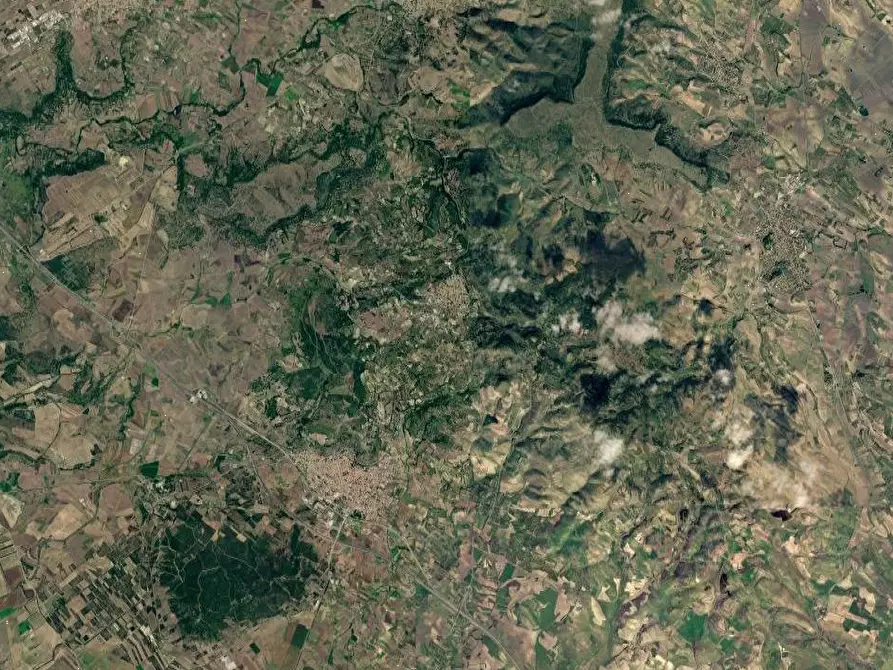 Immagine 13 di Capannone industriale in vendita  in Località Roia Sa Murta a Collinas