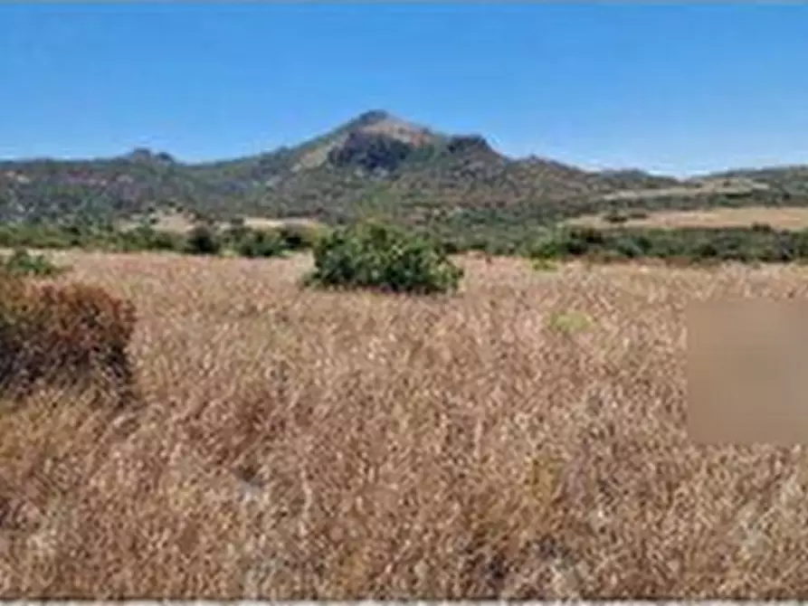 Immagine 5 di Terreno agricolo in vendita  in Località 