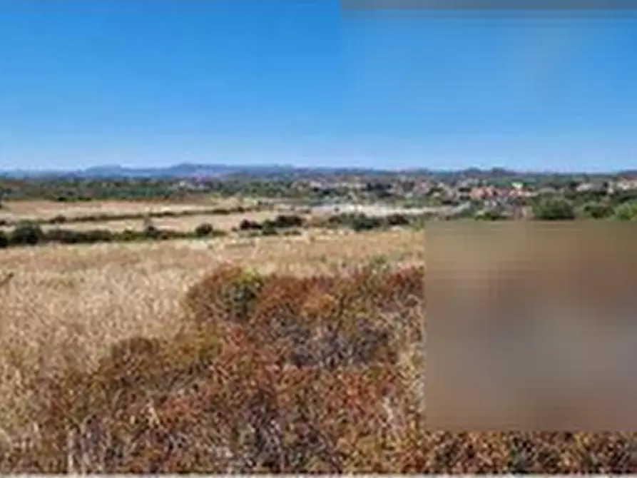 Immagine 6 di Terreno agricolo in vendita  in Località 
