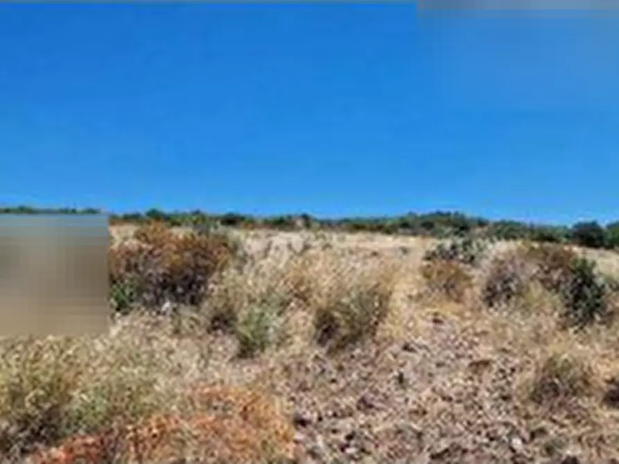Immagine 7 di Terreno agricolo in vendita  in Località 