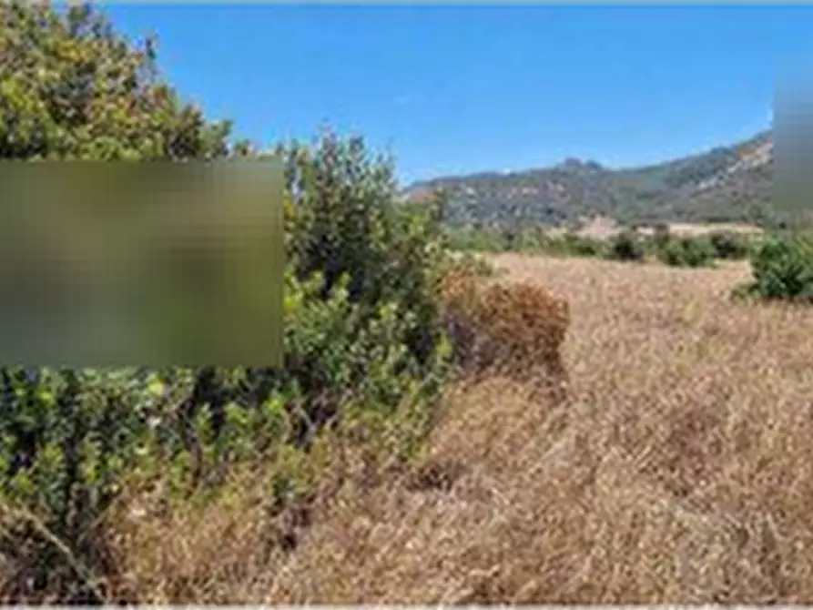 Immagine 8 di Terreno agricolo in vendita  in Località 
