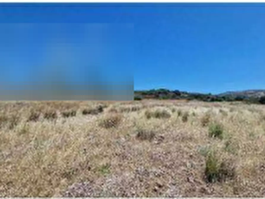 Immagine 9 di Terreno agricolo in vendita  in Località 