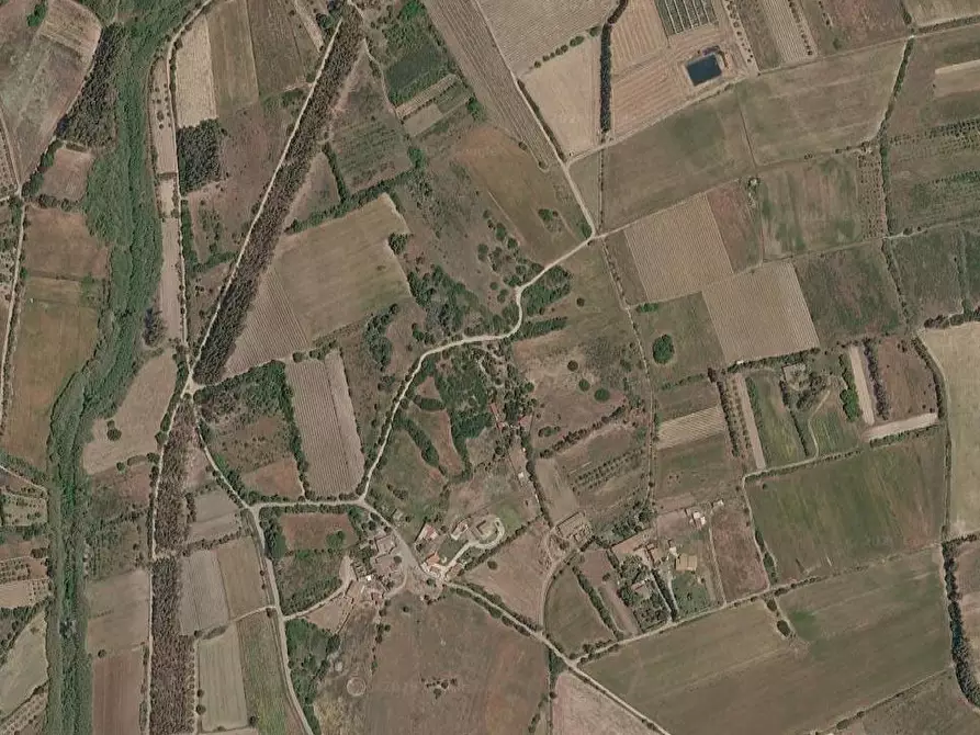 Immagine 15 di Terreno agricolo in vendita  in Località 