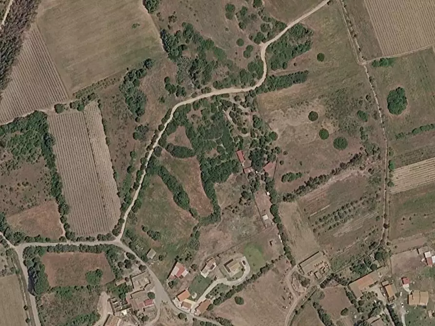 Immagine 16 di Terreno agricolo in vendita  in Località 