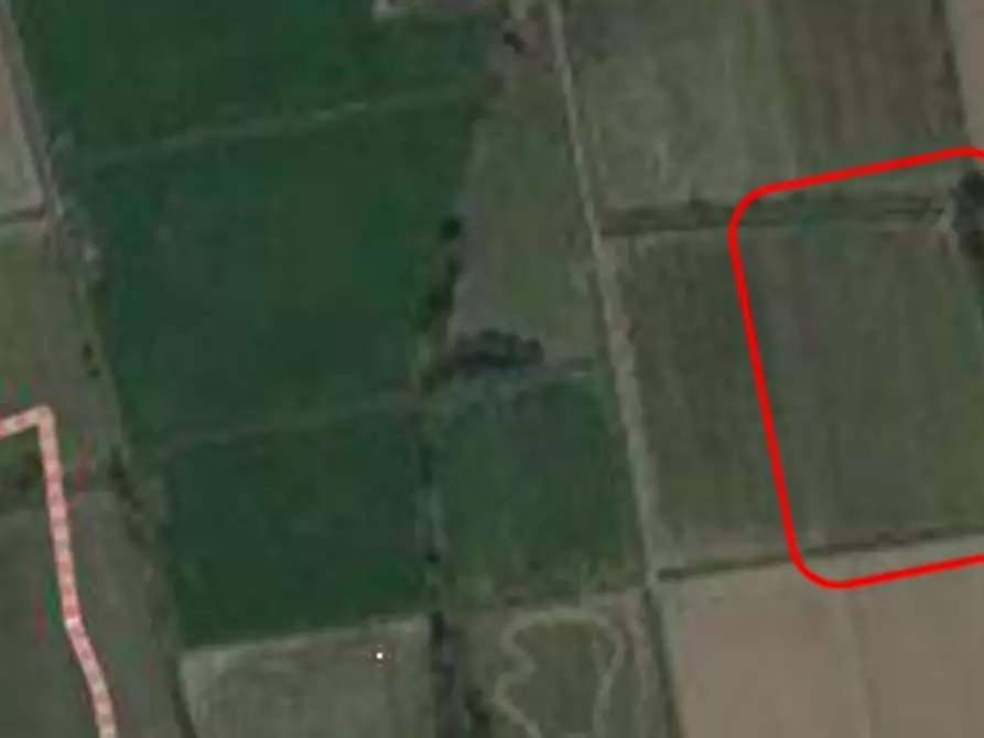 Immagine 2 di Terreno agricolo in vendita  in Str. della Pestazza a Peschiera Borromeo