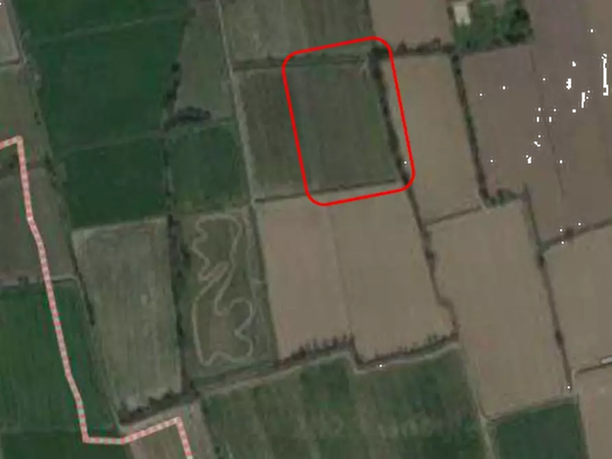 Immagine 3 di Terreno agricolo in vendita  in Str. della Pestazza a Peschiera Borromeo