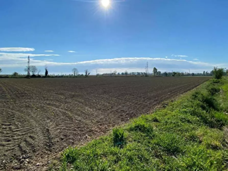 Immagine 4 di Terreno agricolo in vendita  in Str. della Pestazza a Peschiera Borromeo