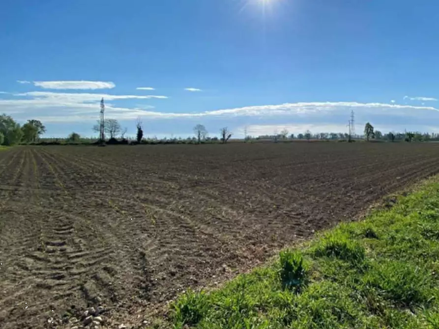 Immagine 5 di Terreno agricolo in vendita  in Str. della Pestazza a Peschiera Borromeo