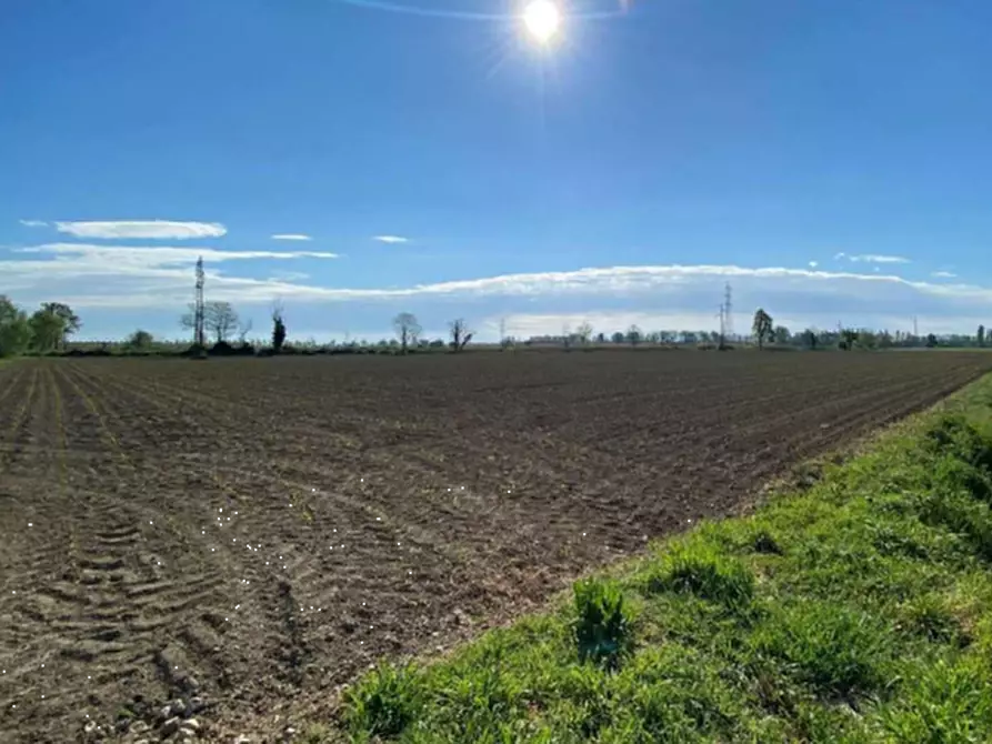 Immagine 6 di Terreno agricolo in vendita  in Str. della Pestazza a Peschiera Borromeo