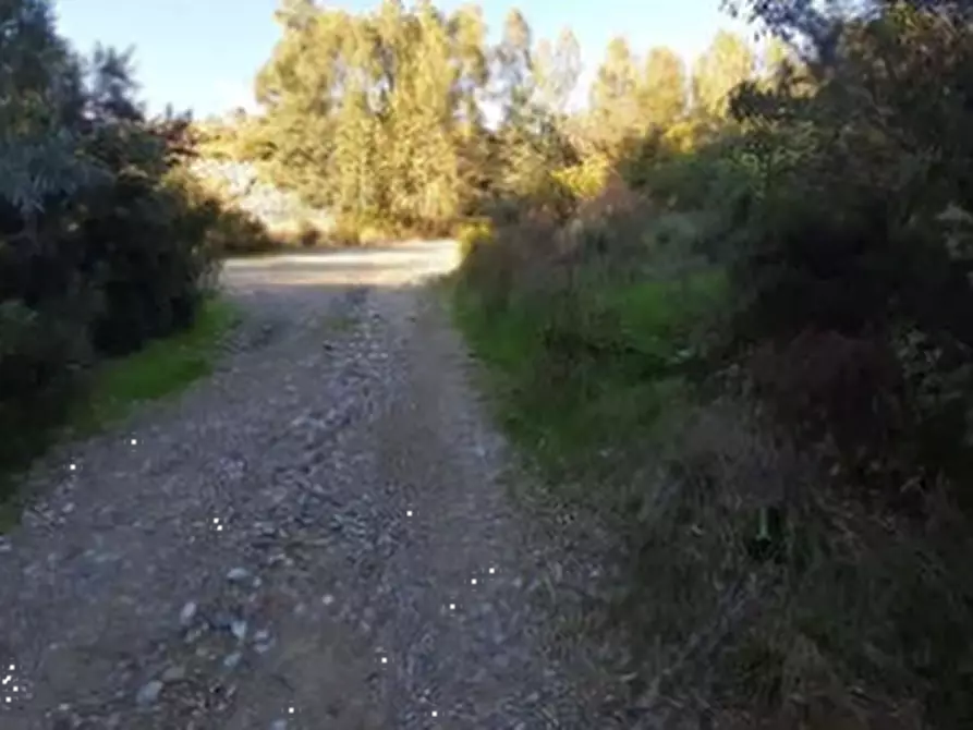 Immagine 1 di Terreno agricolo in vendita  in Località Narcao a Narcao