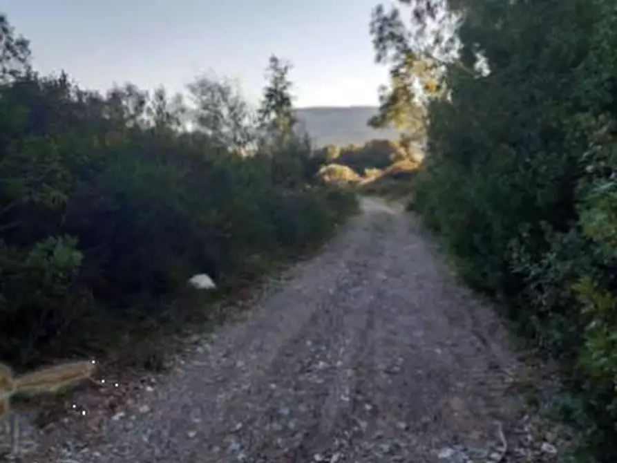 Immagine 2 di Terreno agricolo in vendita  in Località Narcao a Narcao