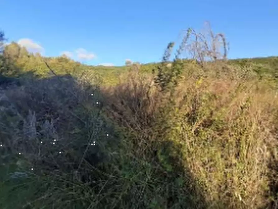 Immagine 3 di Terreno agricolo in vendita  in Località Narcao a Narcao