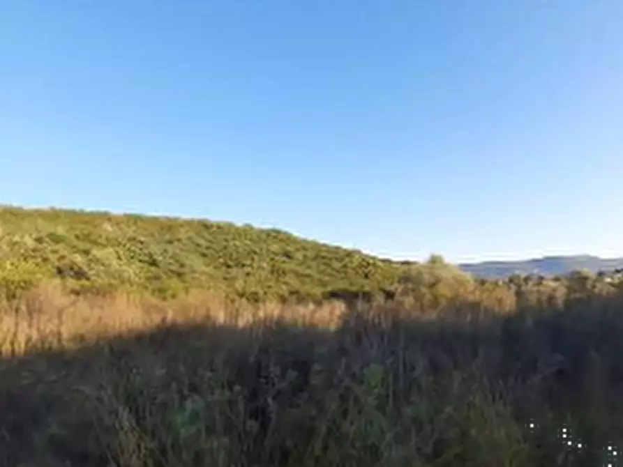 Immagine 4 di Terreno agricolo in vendita  in Località Narcao a Narcao