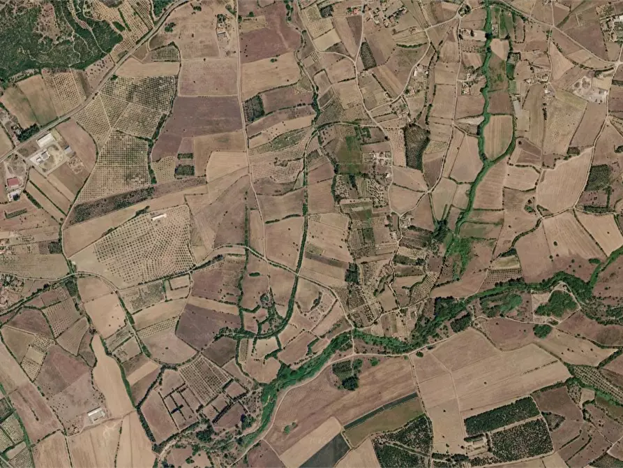 Immagine 5 di Terreno agricolo in vendita  in Località Narcao a Narcao