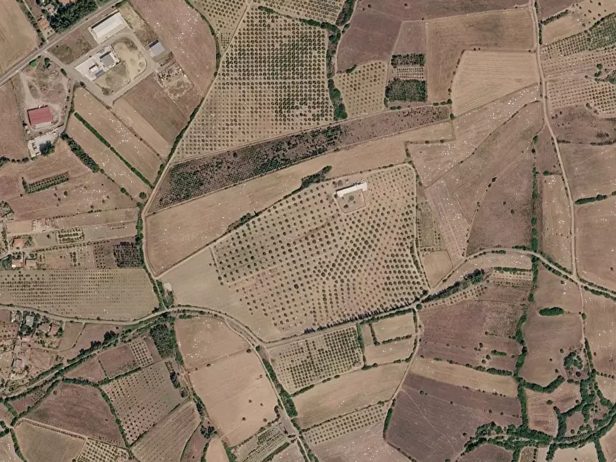 Immagine 6 di Terreno agricolo in vendita  in Località Narcao a Narcao