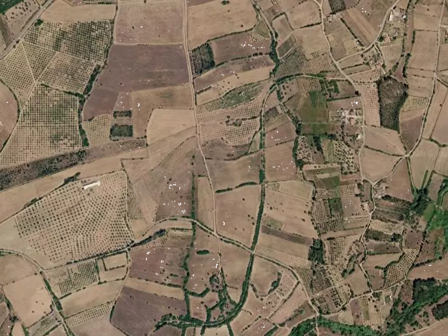 Immagine 7 di Terreno agricolo in vendita  in Località Narcao a Narcao