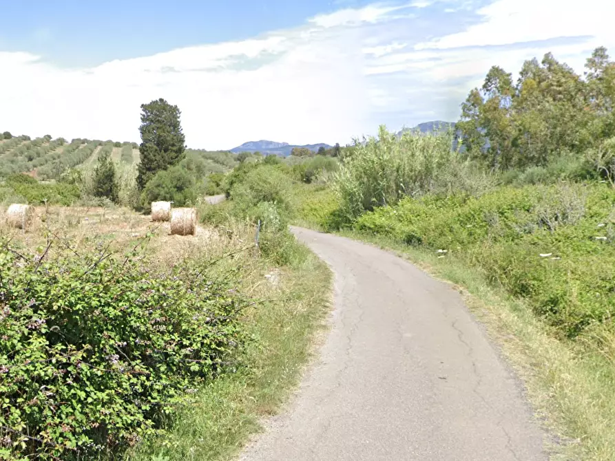 Immagine 10 di Terreno agricolo in vendita  in Località Narcao a Narcao