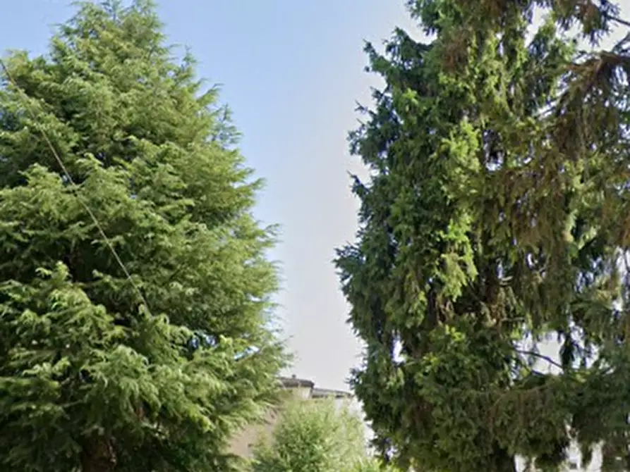 Immagine 7 di Appartamento in vendita  in Via Timavo a Pordenone
