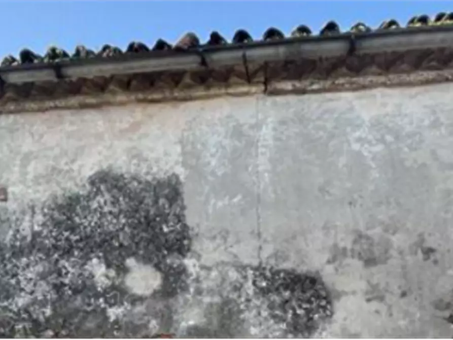 Immagine 15 di Rustico / casale in vendita  in Via Campagnol a Salizzole