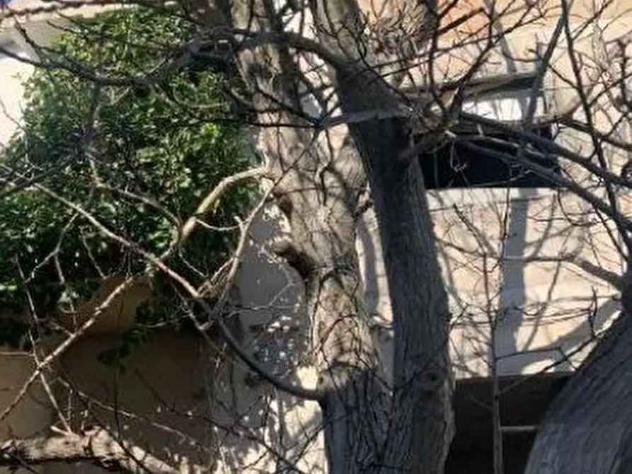 Immagine 4 di Appartamento in vendita  in Corso Vittorio Emanuele a Isili