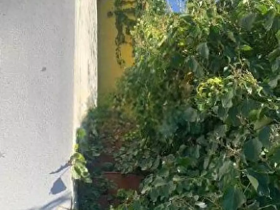 Immagine 7 di Appartamento in vendita  in Corso Vittorio Emanuele a Isili