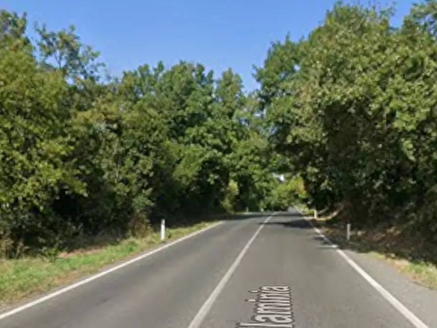 Immagine 5 di Negozio in vendita  in Via Flaminia a Riano