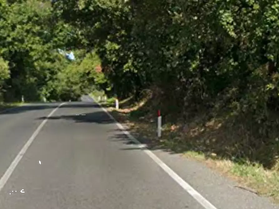 Immagine 6 di Negozio in vendita  in Via Flaminia a Riano
