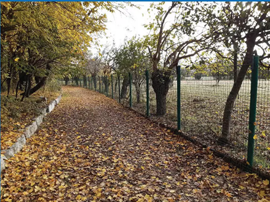 Immagine 9 di Negozio in vendita  in Via Postioma Dei Prai a Castelfranco Veneto