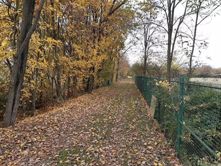 Immagine 10 di Negozio in vendita  in Via Postioma Dei Prai a Castelfranco Veneto