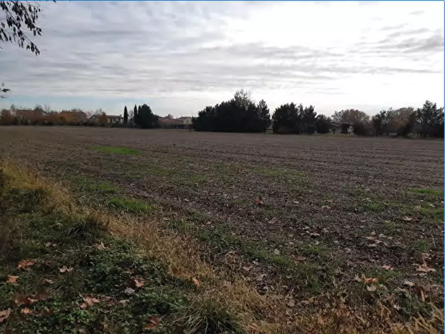Immagine 11 di Negozio in vendita  in Via Postioma Dei Prai a Castelfranco Veneto