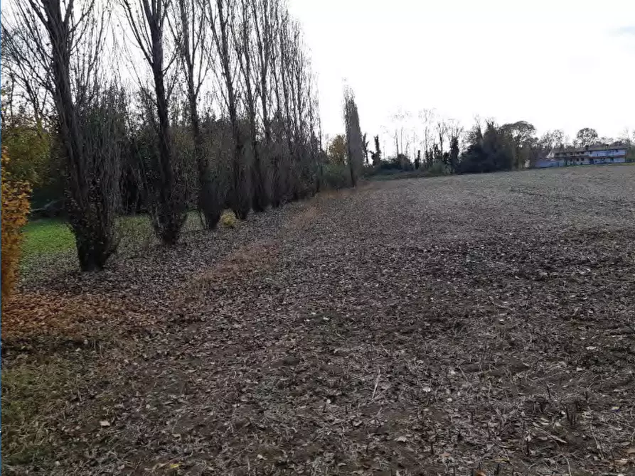 Immagine 12 di Negozio in vendita  in Via Postioma Dei Prai a Castelfranco Veneto