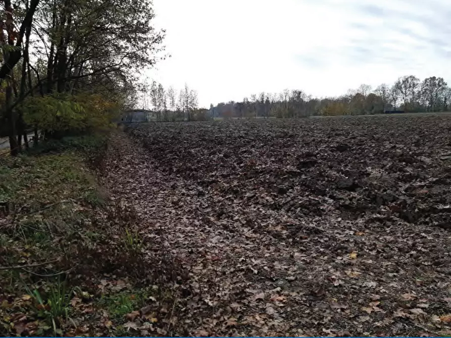 Immagine 13 di Negozio in vendita  in Via Postioma Dei Prai a Castelfranco Veneto
