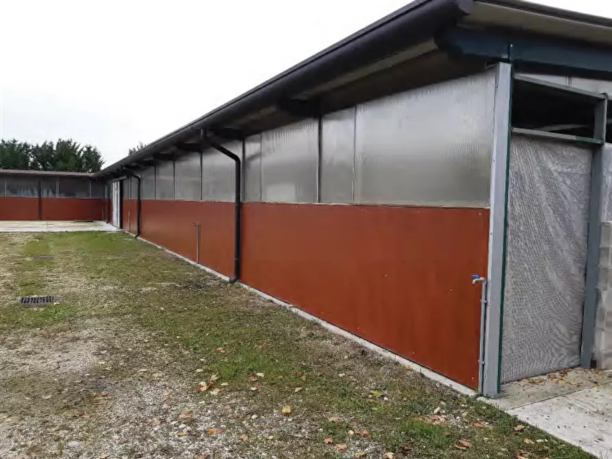 Immagine 18 di Negozio in vendita  in Via Postioma Dei Prai a Castelfranco Veneto