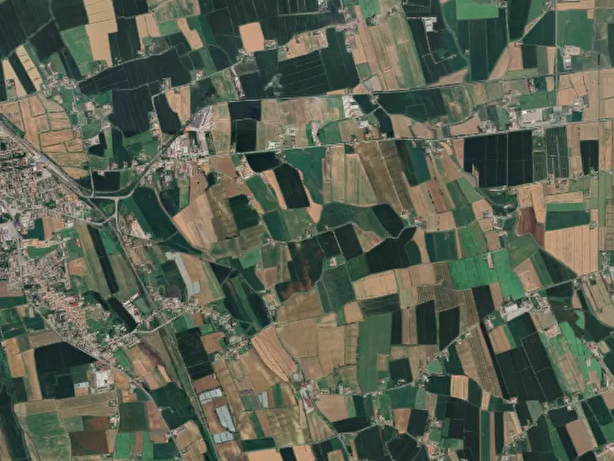 Immagine 6 di Terreno edificabile in vendita  in Via Ecce Homo a Nogara