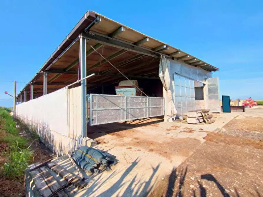 Immagine 6 di Capannone industriale in vendita  in Via Beltrutto a Sant'albano Stura