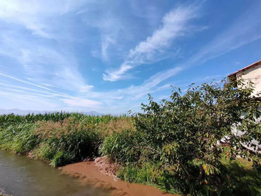 Immagine 1 di Terreno agricolo in vendita  in Via Beltrutto a Sant'albano Stura