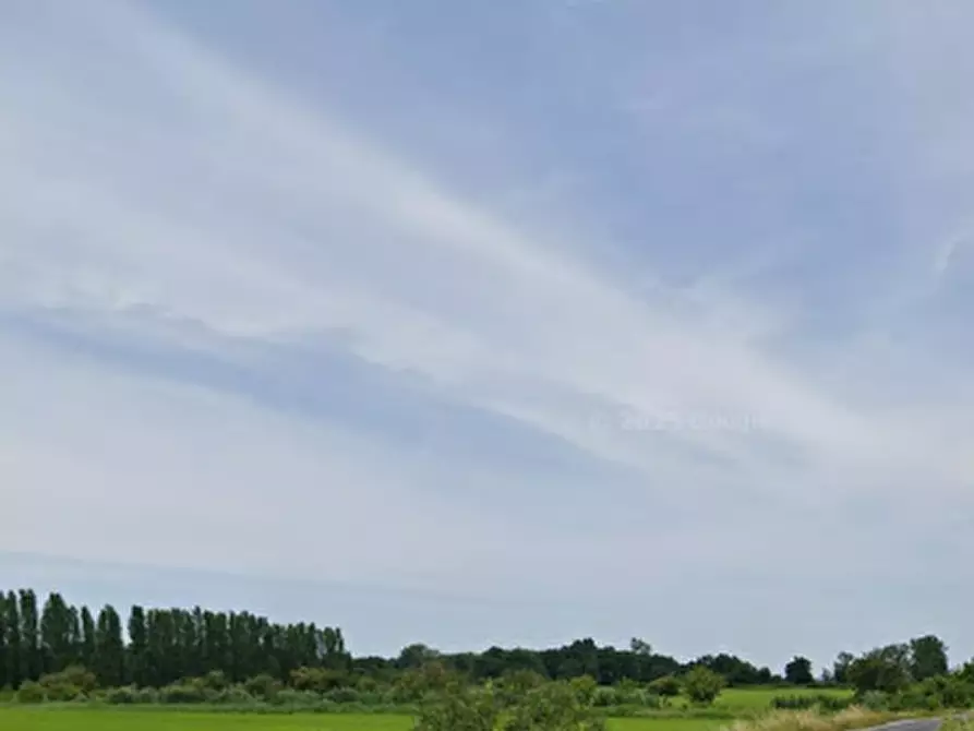 Immagine 7 di Terreno agricolo in vendita  in Via Gropello Cairoli a Gropello Cairoli