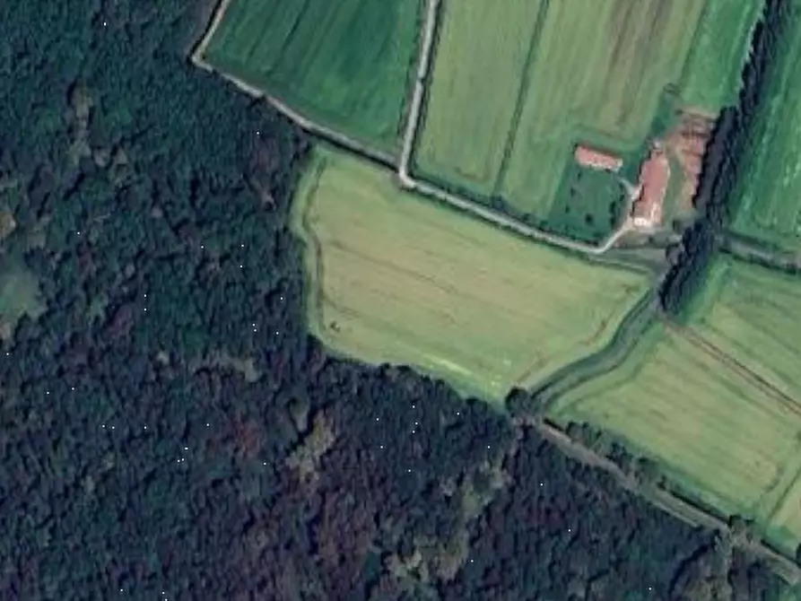Immagine 10 di Terreno agricolo in vendita  in Via Gropello Cairoli a Gropello Cairoli
