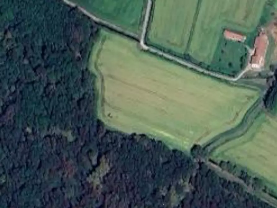 Immagine 12 di Terreno agricolo in vendita  in Via Gropello Cairoli a Gropello Cairoli